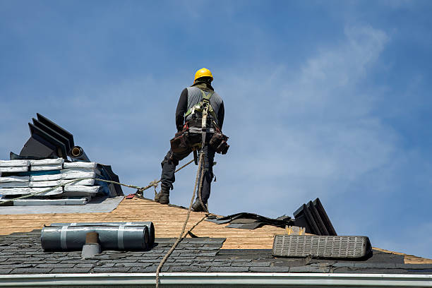 Professional Roof Repair technician working in Plain, WI